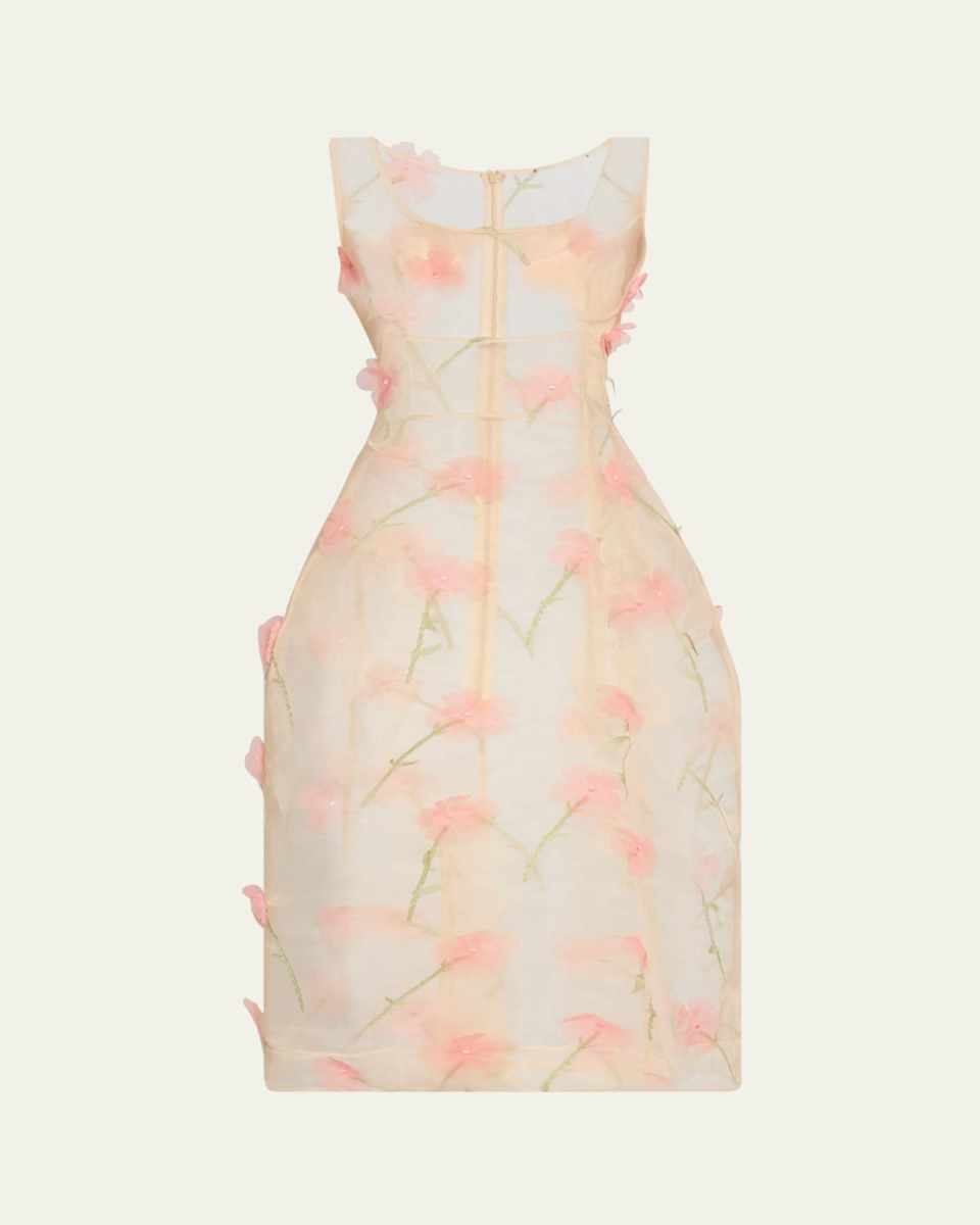 Balconette Bust Sheer Midi Dress